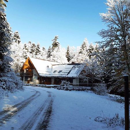 Auberge Refuge De Roybon Saint-Martin-en-Vercors Екстериор снимка