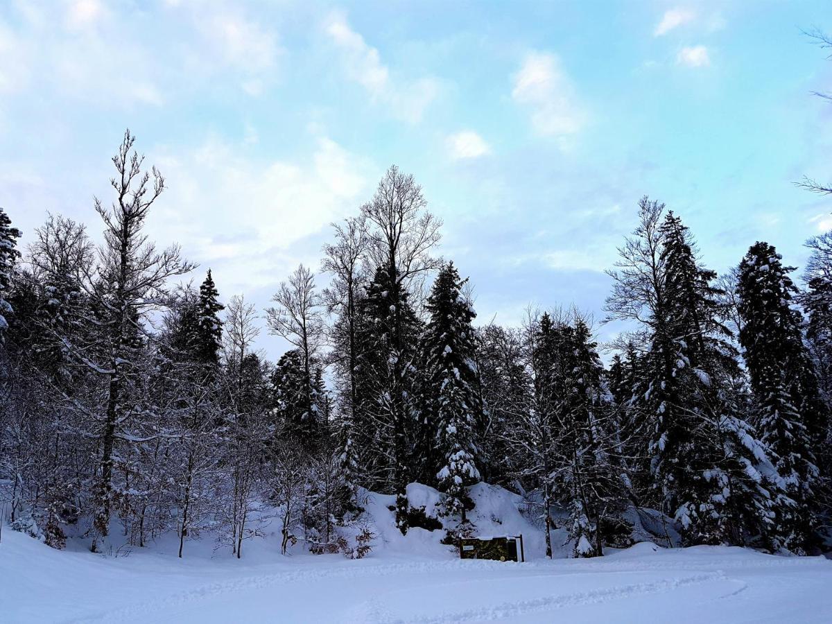 Auberge Refuge De Roybon Saint-Martin-en-Vercors Екстериор снимка